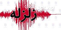 طارم لرزید