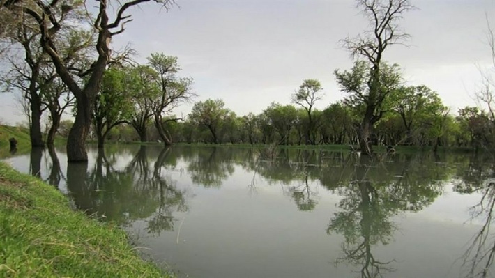 مدیرعامل سازمان باغستان سنتی شهرداری قزوین از افزایش میزان آب تخصیص یافته به باغستان سنتی قزوین در چهارچوب سهمیه‌های مصوب قانونی خبر داد.