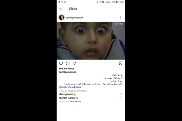 همدردی هنرمندان با مردم فلسطین/ از نوید محمدزاده تا پرویز پرستویی