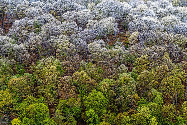 اعتراض ترسناک! / ماجرای یک عروسک غول پیکر ‌(گزارش تصویری)