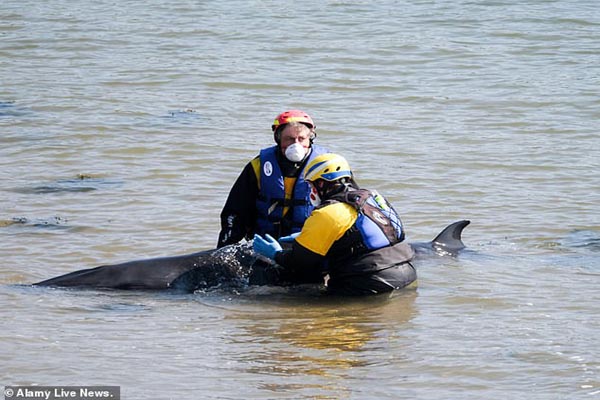 ترس از آتش سوزی دوباره در آمازون / نیوزلند؛ دشمن کل جهان (گزارش تصویری) ترس از آتش سوزی دوباره در آمازون / نیوزلند؛ دشمن کل جهان (گزارش تصویری)