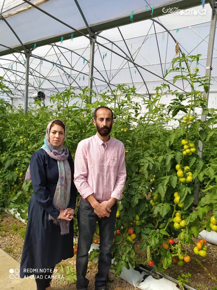روایت یک کسب و کار خانوادگی در همسایگی رود ارس/ از بقالی تا صادرات 65 تن گوجه