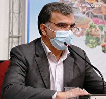 پرداخت 120 میلیارد تومان تسهیلات مشاغل خانگی در استان کرمان