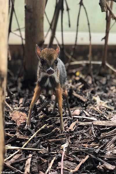 اسرار یک مقبره 4 هزار ساله / خطر برای یک و نیم میلیارد کاربر اپل! (گزارش تصویری) اسرار یک مقبره 4 هزار ساله / خطر برای یک و نیم میلیارد کاربر اپل! (گزارش تصویری)