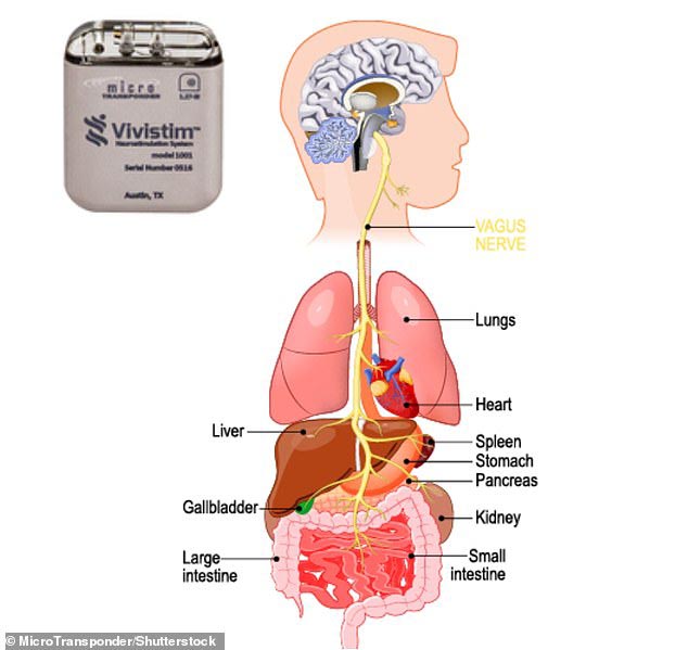 اسرار یک مقبره 4 هزار ساله / خطر برای یک و نیم میلیارد کاربر اپل! (گزارش تصویری) اسرار یک مقبره 4 هزار ساله / خطر برای یک و نیم میلیارد کاربر اپل! (گزارش تصویری)