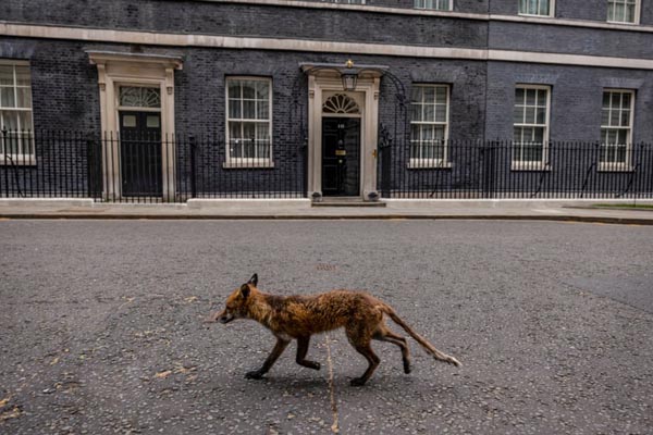 صف سوزاندن جنازه هنوز شلوغ است / اخراج به صورت دست بسته (گزارش تصویری)