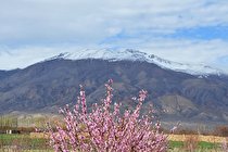 قله کوه شاهوار ( شاهرود ) ثبت ملی شد