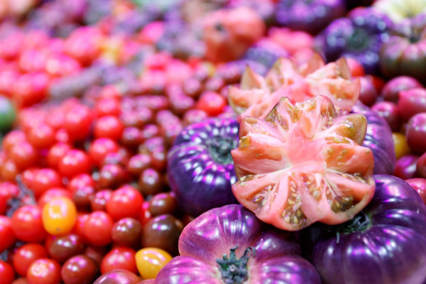 لحظات برگزیده شبانه روز اخیر در سراسر جهان (گزارش تصویری)