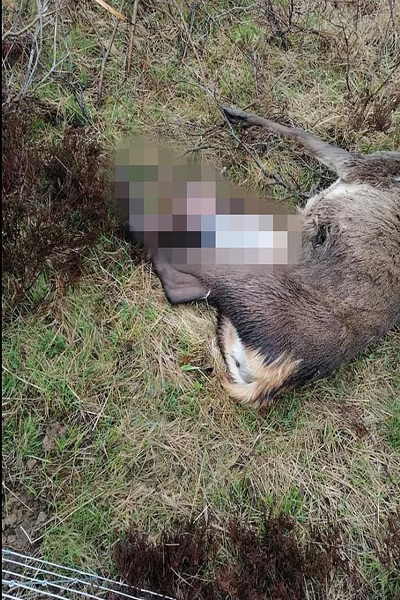  لحظات برگزیده شبانه روز اخیر در سراسر جهان (گزارش تصویری)