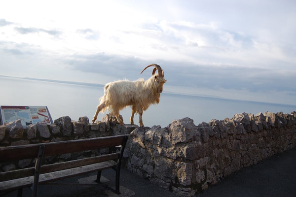  لحظات برگزیده شبانه روز اخیر در سراسر جهان (گزارش تصویری)