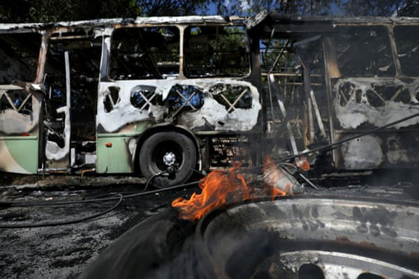 حمله اوباش به شهر مانائو / مهاجرت پر سر و صدای خانواده فیل ها (گزارش تصویری)