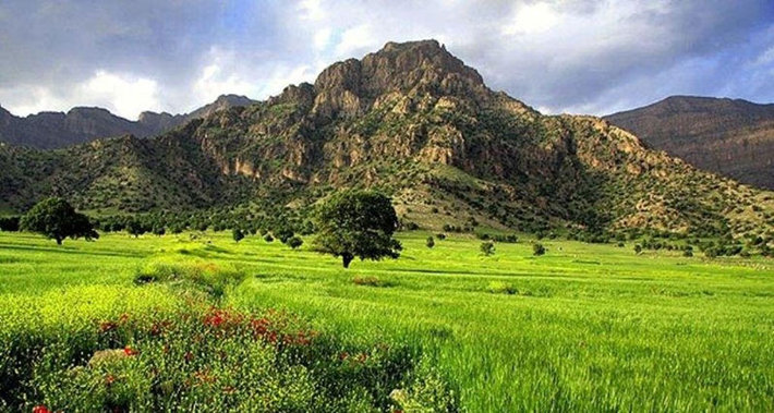 مدیرعامل شرکت تعاونی عشایر اشراق شهرستان زنجان به لزوم توجه به نقش عشایر در حفظ منابع طبیعی تاکید کرد.