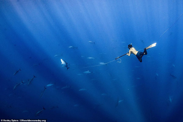 تصاویر برگزیده مسابقه روز جهانی اقیانوس (گزارش تصویری)