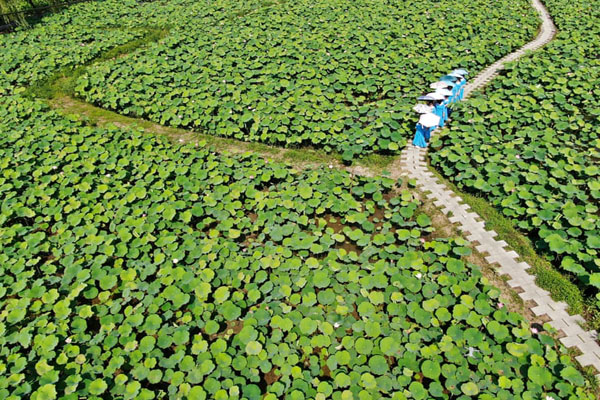لحظات برگزیده روز چهارشنبه (گزارش تصویری)