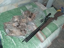 دستگیری شکارچیان غیرمجاز در سیرجان 