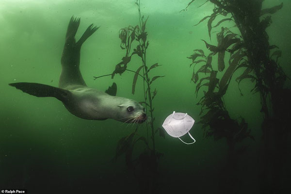 تصاویر برگزیده حیات وحش و طبیعت از یک مسابقه عکاسی (گزارش تصویری)