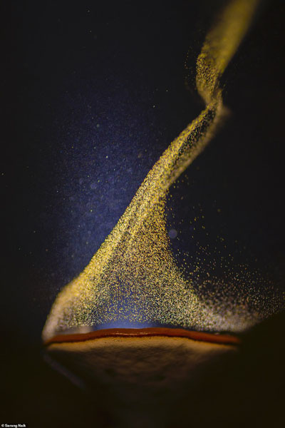 تصاویر برگزیده حیات وحش و طبیعت از یک مسابقه عکاسی (گزارش تصویری)