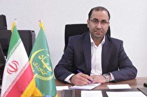 افزایش ۱۲ درصدی میزان جوجه‌ریزی در واحدهای مرغداری لرستان