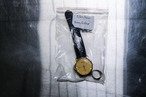 این شیر نر پیشگویی می کند!  (گزارش تصویری)