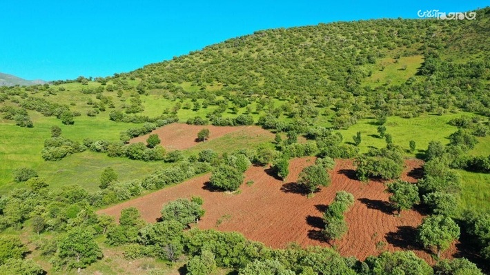 مدیرکل منابع طبیعی و آبخیزداری استان اردبیل از اخذ سند برای بیش از ۸۰۰ هزار هکتار عرصه‌های ملی این استان خبر داد.