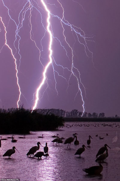 عکس های برگزیده مسابقه عکاسی بین المللی «طبیعت» (گزارش تصویری) عکس های برگزیده مسابقه عکاسی بین المللی «طبیعت» (گزارش تصویری)