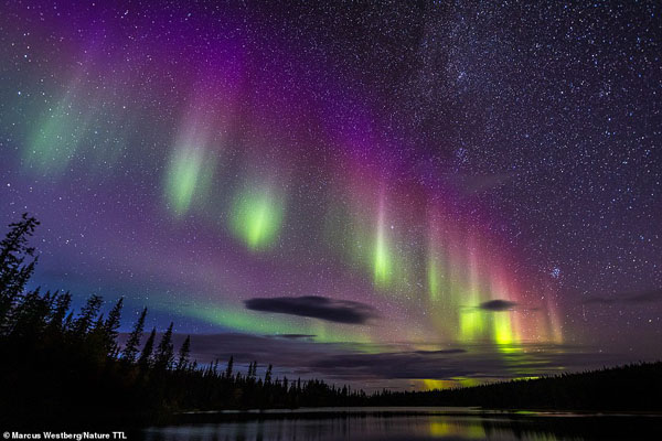 عکس های برگزیده مسابقه عکاسی بین المللی «طبیعت» (گزارش تصویری) عکس های برگزیده مسابقه عکاسی بین المللی «طبیعت» (گزارش تصویری)