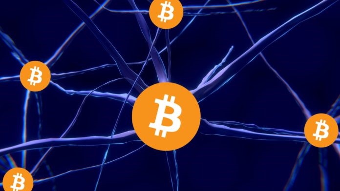 نود بیت کوین چیست و انواع آن کدام است؟