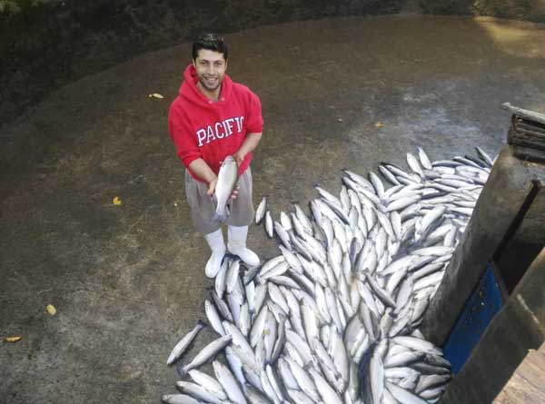 روستای ماه و ماهی