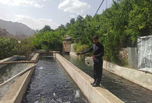 روستای ماه و ماهی