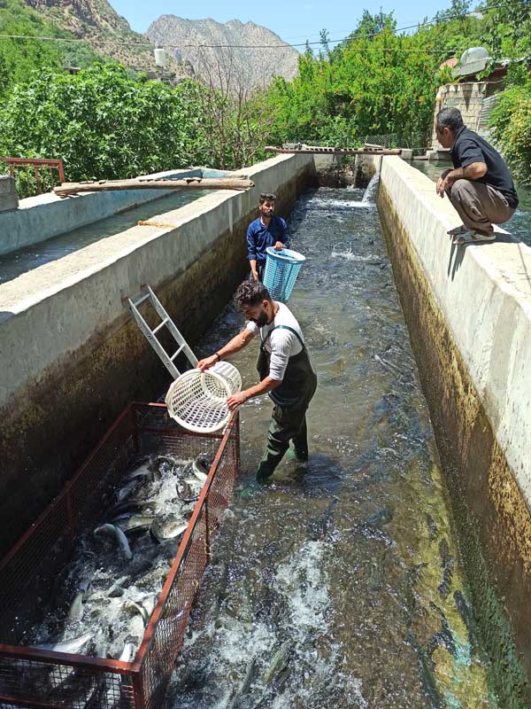 روستای ماه و ماهی
