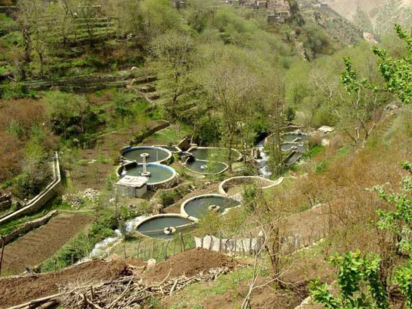 روستای ماه و ماهی