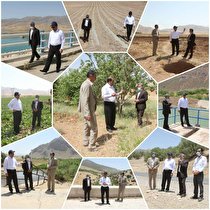 ممنوعیت پمپاژ آب به اراضی دیم