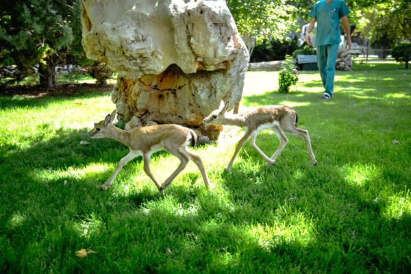 لحظات برگزیده 24 ساعت اخیر (گزارش تصویری)