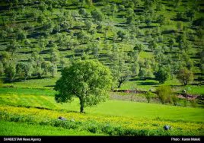 فرمانده یگان حفاظت اداره کل منابع طبیعی و آبخیزداری استان زنجان گفت: اجرای طرح کاداستر بهترین راه برای جلوگیری از تخریب و تصرف اراضی ملی است.