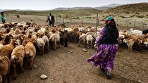 خسارت 400 میلیارد تومانی خشکسالی به عشایر لرستان