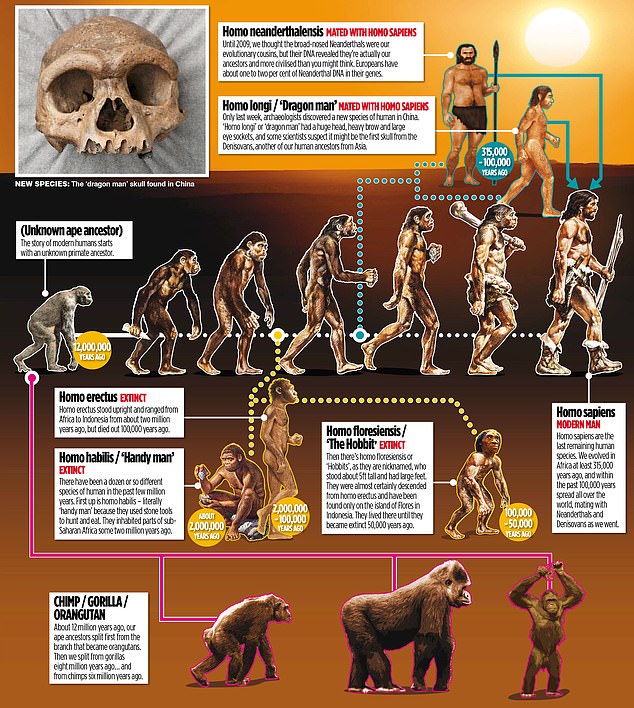 ما انسان ها اینگونه تکامل پیدا کردیم (عکس)