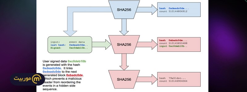 همه چیز درباره بلاکچین سولانا و ارز دیجیتال SOL