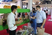 معرفی توانمندی های کشاورزی جنوب کرمان در نمایشگاه بین المللی اوراسیا