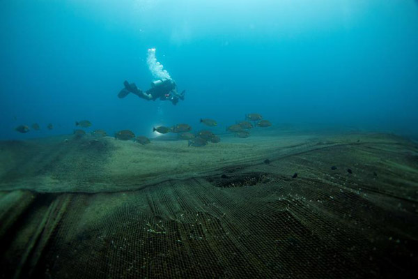 لحظات مهم شبانه روز اخیر در جهان (گزارش تصویری) لحظات مهم شبانه روز اخیر در جهان (گزارش تصویری)