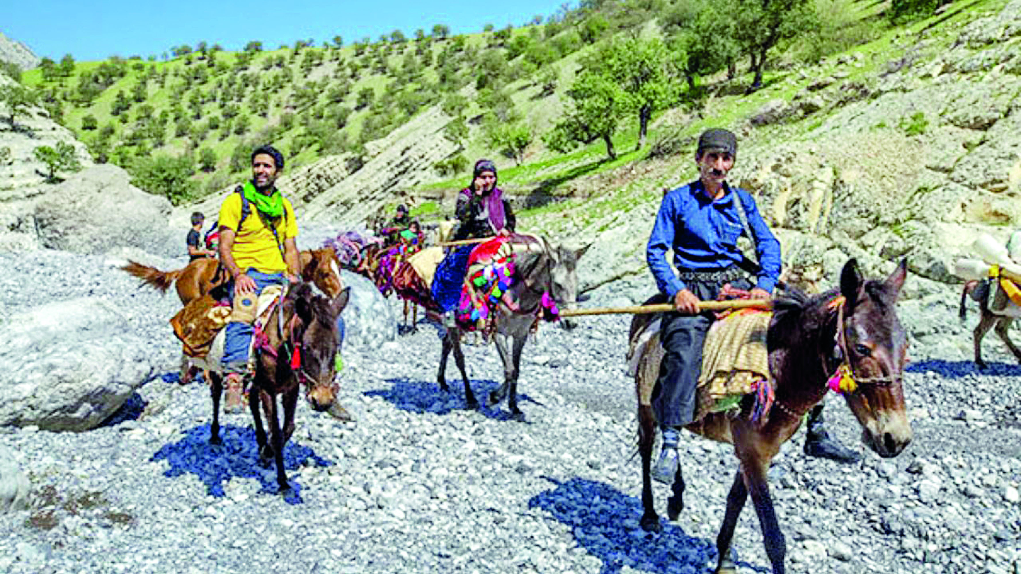 بازار داغ تلویزیون در روزهای پرفراغت تابستان