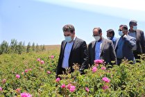 استمهال وام ها وکمک بلاعوض برای کمک به کشاورزان
 