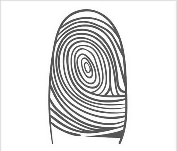 حقایقی که اثر انگشت درباره شخصیت شما فاش می‌کند! + تصاویر