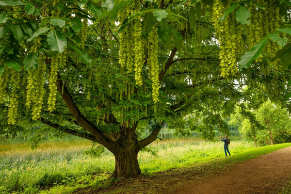 تصاویر برگزیده طبیعت و حیات وحش در هفته اخیر (گزارش تصویری)