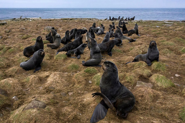 تصاویر برگزیده طبیعت و حیات وحش در هفته اخیر (گزارش تصویری)