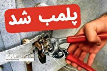 برخورد جدی با متخلفان توزیع مرغ در شهرستان البرز