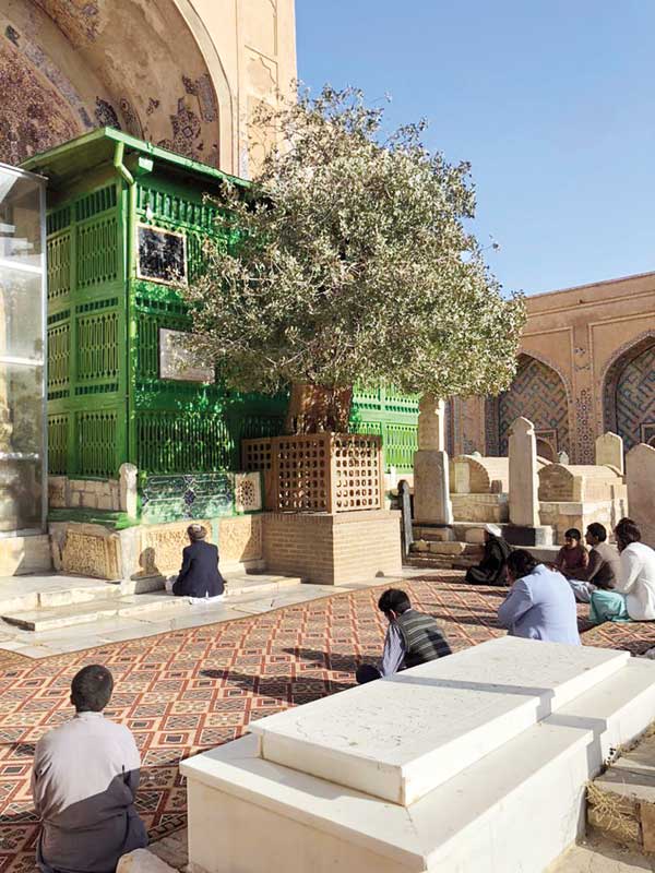 آمر صاحب دِ خانه شویم چای تیار است (+تصاویر) آمر صاحب دِ خانه شویم چای تیار است (+تصاویر)