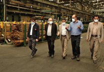 مکلف به حمایت و رفع موانع موجود مجموعه های موفقی چون مس هستیم 