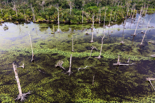 لحظات برگزیده حیات وحش (گزارش تصویری)