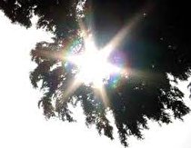 مناطق گرمسیری کرمانشاه منتظر گرمای بیشتری باشند/دمای قصرشیرین به ۴۶ درجه رسید