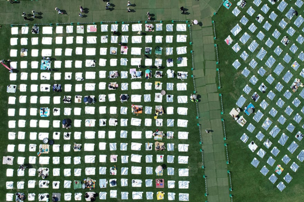 توحش برای یک گور دسته جمعی دیگر / یک حیوان خانگی به نام شیر سفید (گزارش تصویری)